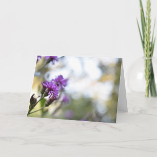 Carte Fleurs violettes Été Nature Photographie Florale