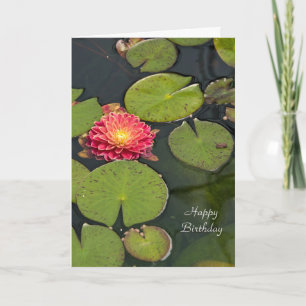 Carte Floating Dahlia