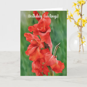 Carte Floraison Rouge Fleurs de gladiolus Art Anniversai