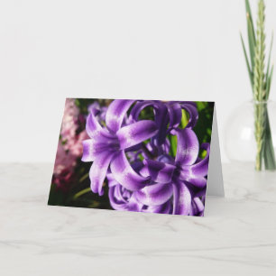 Carte Floral Blue Hyacinth
