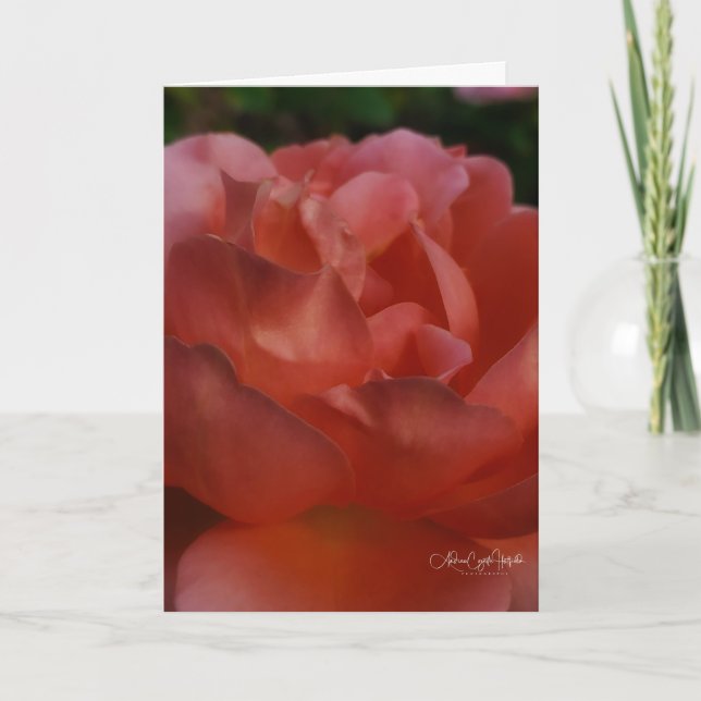 Carte Floral Close Up (Devant)