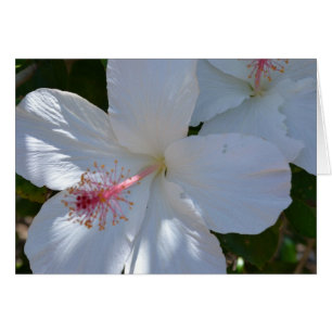 Carte Floral Fragrance Note