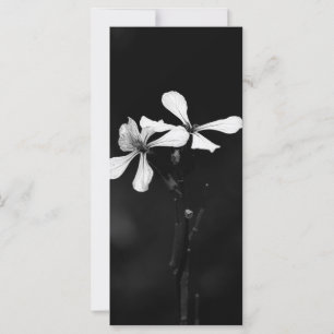 Carte floral noir et blanc minimal