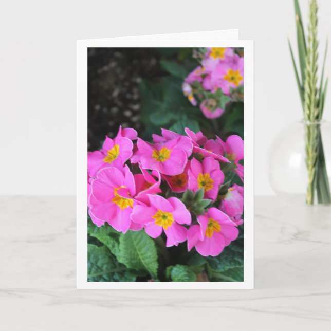 Carte Floral rose - anniversaire de belle-soeur (Devant)