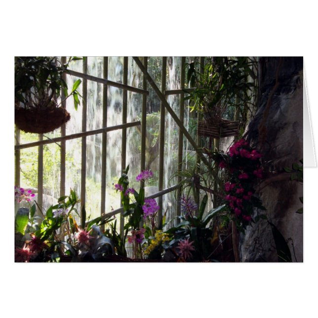 Carte Floral Waterfall (Devant horizontal)