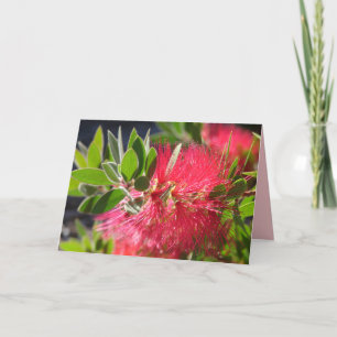 Carte florale à fleurs australienne en coton rouge