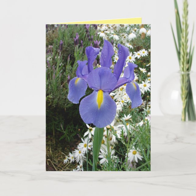 Carte florale Blue Dutch Iris Flowers (Devant)