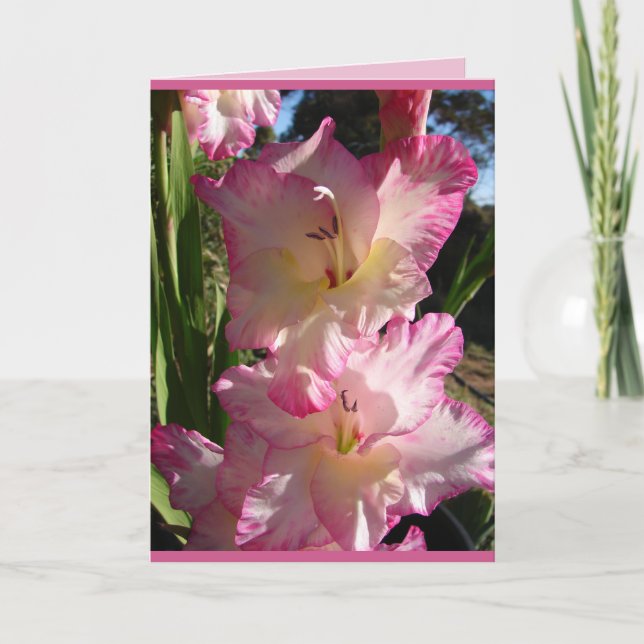 Carte florale de Glaïeuls roses de jardin de campa (Devant)