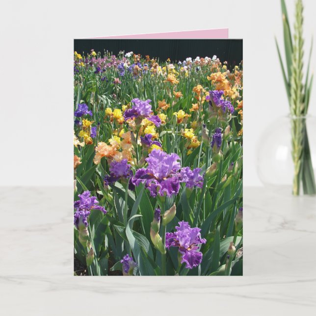 Carte florale de jardin de cottage Iris pourpre (Devant)