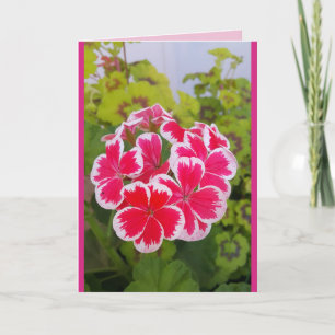 Carte florale de jardin de fleurs de géranium Pela