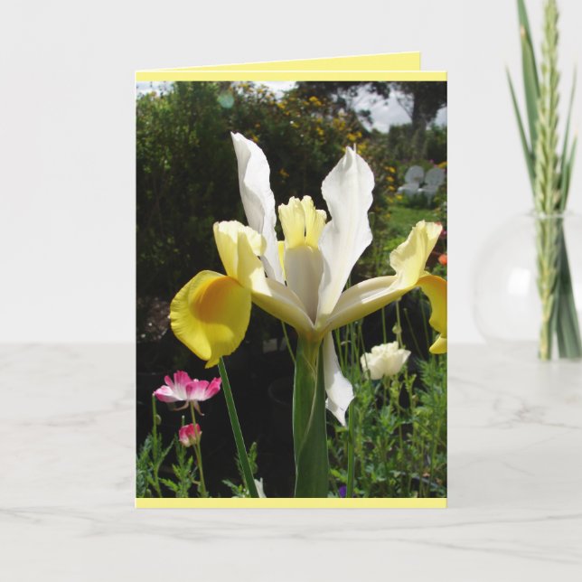 Carte florale d'iris jaune de jardin de campagne (Devant)