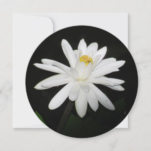 Carte florale Lily blanche ronde personnalisée