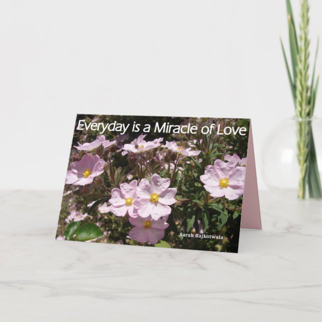 Carte florale Pink Rock Roses Everyday is a Miracl (Devant)