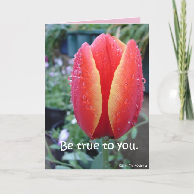 Carte florale Tulipe rouge et gouttes de pluie Soy (Devant)