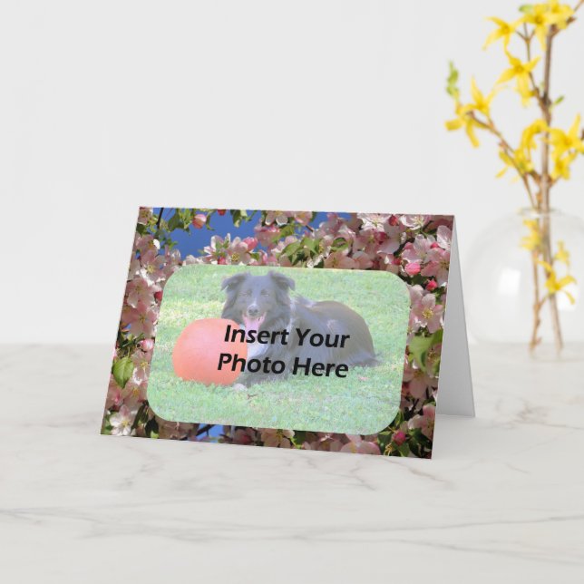 Carte Flore rose Printemps fleurit Cadre Floral Photo (Fleur jaune)