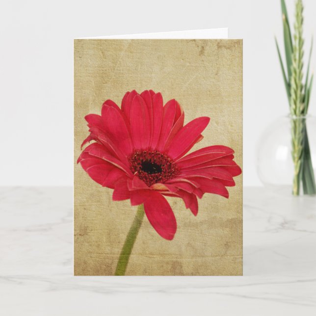 Carte Flower Gerbera Rouge (Devant)