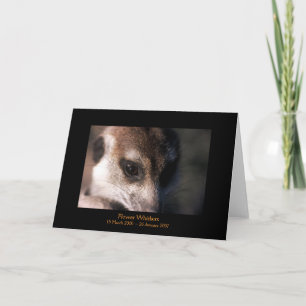 Carte Flower - Legends Card