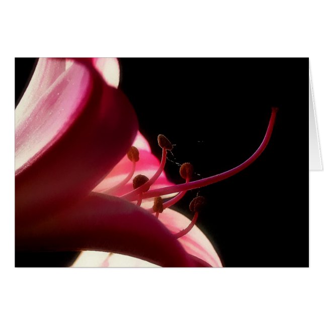Carte Flower Stamen (Devant horizontal)