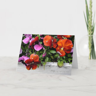 Carte Flowerbox des pensées