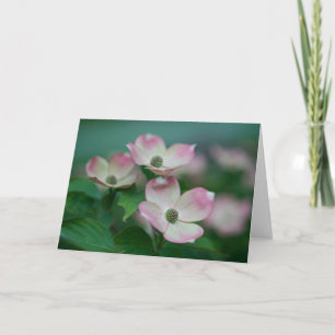 Carte Flowers (homonymie)   Blossoms de Dogwood