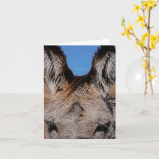 Carte Fluffy Burro - Thank You Card