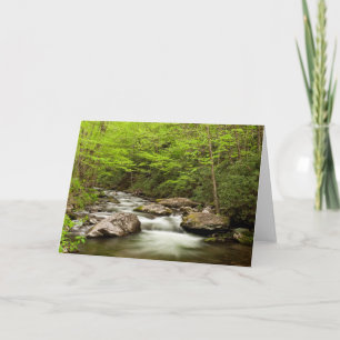 Carte Flux De Fourche Droite À Travers La Forêt