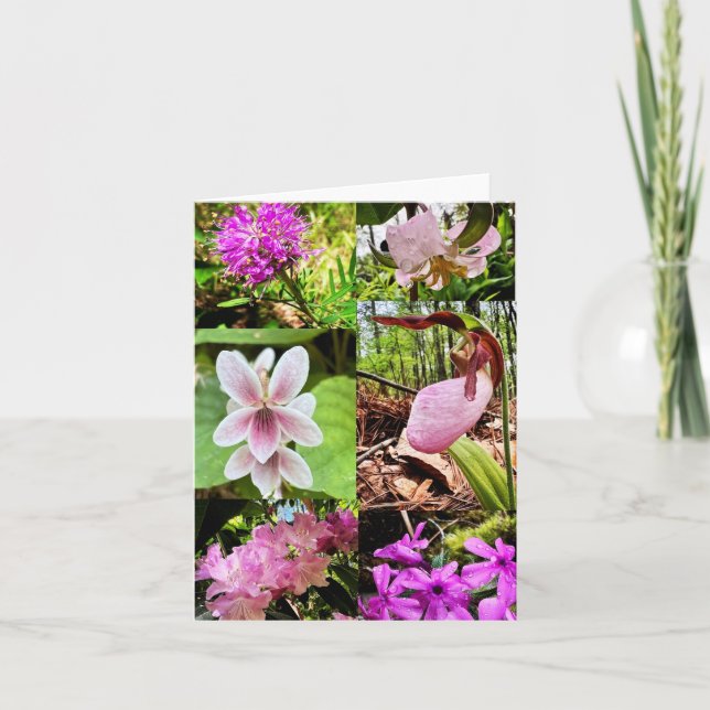 Carte Folded greeting card with wildflowers (Devant)