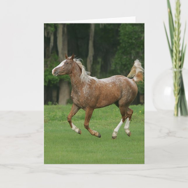 Carte Fonctionnement de cheval d'Appaloosa (Devant)