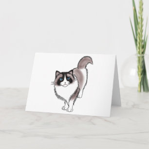 Carte FooFooCat : Ragdoll impertinent