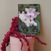 For Daughter-in-Law Floral Mother's Day