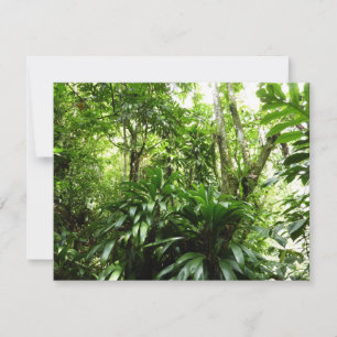 Carte Forêt de pluie dominicaine I Nature verte tropical