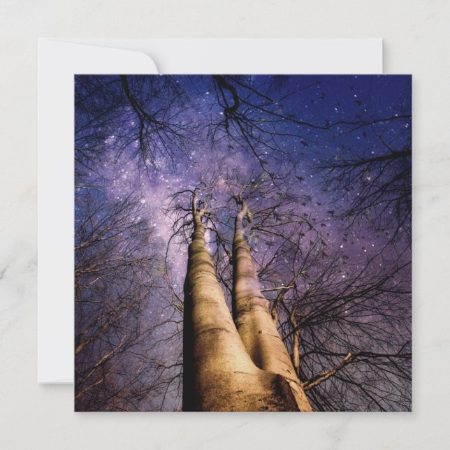 Carte Forêt mystique (Devant)