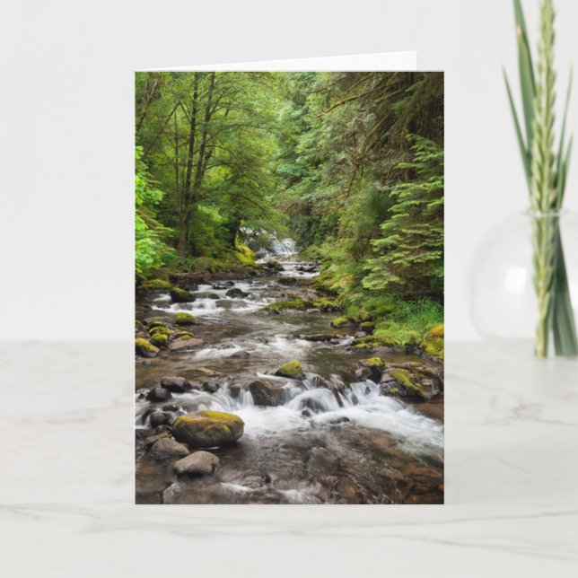 Carte Forêt nationale de Siuslaw | Sweet Creek (Devant)