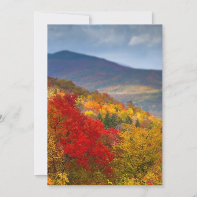 Carte Forêt nationale de White Mountains (Devant)