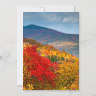 Carte Forêt nationale de White Mountains