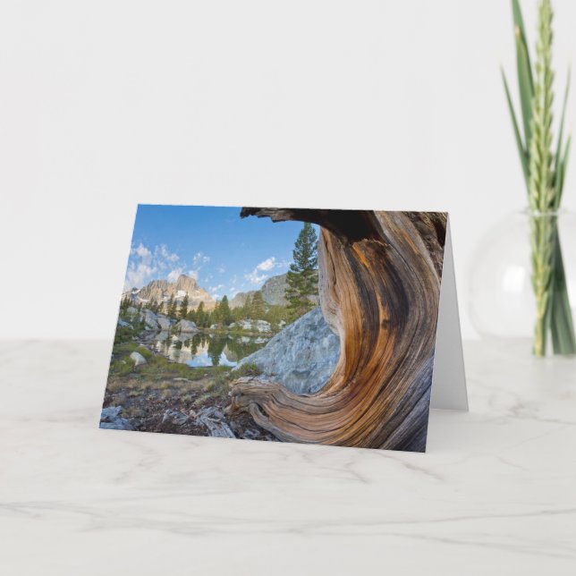 Carte Forêt nationale d'Inyo, Californie (Devant)
