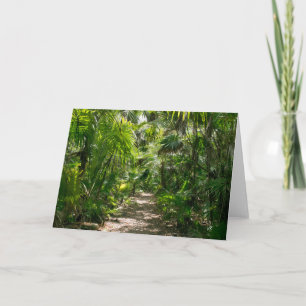 Carte Forêt   Tropical Rainforest Tulum Mexique