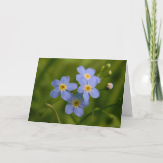 Carte Forget-Me-Not 2