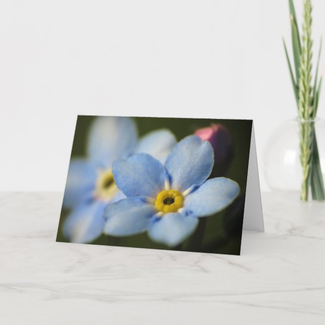 Carte Forget Me-Nots 12 Sympathy Card (Devant)