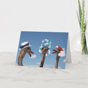 Carte Fou Casquette Day aux courses