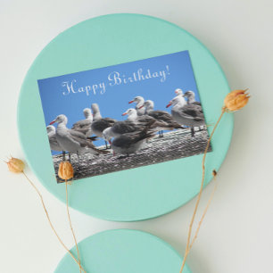 Carte Foule de mouettes Photo de tous les Anniversaires