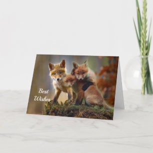 Carte Fox Kits Photo Félicitations Mariage Card