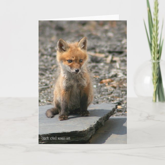 Carte Fox Pup (Devant)