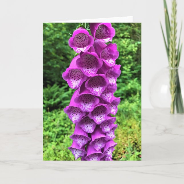 Carte Foxglove Flowers, Oregon (Devant)