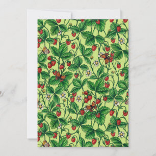 Carte Fraises sauvages sur miellerie