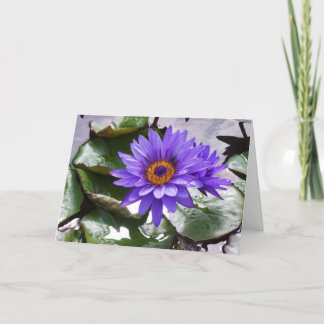 Carte Frameable Fleur Violet Anniversaire 7x5