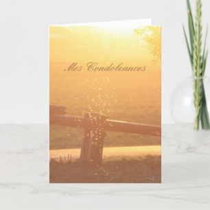 Carte Français Sympathie Sunlight Mosquito