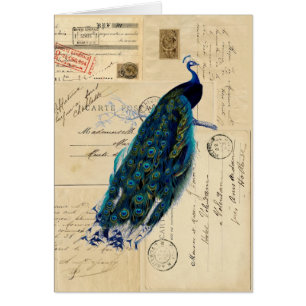 Carte française de cartes postales de paon