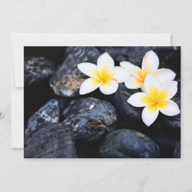 Carte Frangipani flowers (Devant)