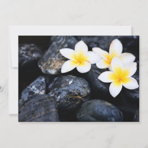 Carte Frangipani flowers